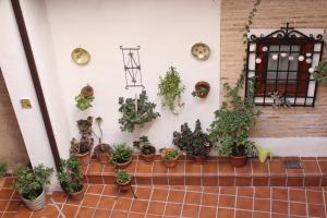 Jardín al aire libre en La Casa Toledana - patio y terraza con vistas