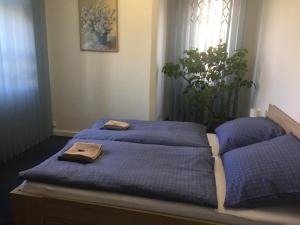 布拉格的住宿－Blue apartment in beautiful English style garden with atmosphere，一间卧室设有两张带紫色床单的床和窗户。