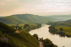 a river with a bunch of vineyards next to a valley at Hotel zur Post in Mülheim an der Mosel