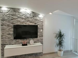 Μια τηλεόραση ή/και κέντρο ψυχαγωγίας στο Apartment Ivan&Marko