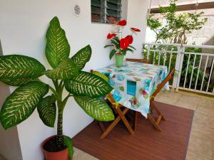 Balcone o terrazza di Dilou Schœlcher