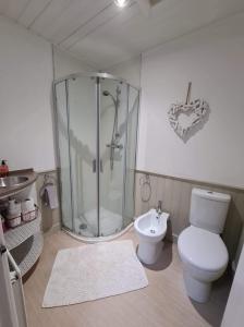 a bathroom with a shower and a toilet and a sink at Chapel View Cottage in Port Carlisle