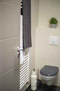 a bathroom with a blue toilet and a towel at Maison à 800m de la plage in Saint-Lunaire