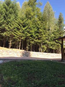 une route dans un parc avec des arbres en arrière-plan dans l'établissement Ялинка, à Myhove