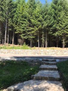 einen Steinweg in einem Park mit Bäumen im Hintergrund in der Unterkunft Ялинка in Myhowe