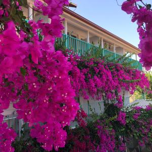 シダにあるSide Evin Hotelのピンクの花の建物