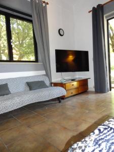 ein Wohnzimmer mit einem Sofa und einem Flachbild-TV in der Unterkunft LOFT collina vista mare in Castellina Marittima
