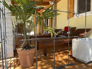Fotografie z fotogalerie ubytování Campsite Piccolo v destinaci Banjole