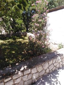 una pared de piedra con un arbusto y flores en Apartman Mimi, en Klenovica