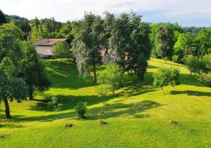 Príroda v okolí of the bed and breakfast