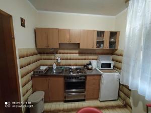 a small kitchen with a stove and a microwave at Prenoćište Aleksandar in Golubac