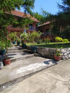 a garden with potted plants in front of a house at Apartment & Rooms Aleksandar in Golubac