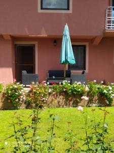 Aed väljaspool majutusasutust Apartment & Rooms Aleksandar
