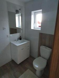 baño con aseo y lavabo y ventana en Domek Całoroczny u Starców, en Mizerna