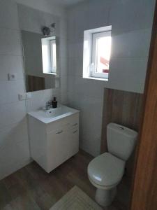 a bathroom with a toilet and a sink and a window at Domek Całoroczny u Starców in Mizerna