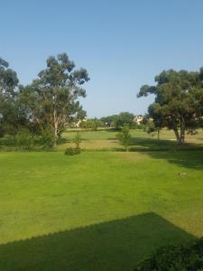 un champ d'herbe verte avec des arbres en arrière-plan dans l'établissement Appartement piscine golf, à Saint-Cyprien