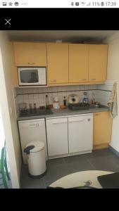 une petite cuisine avec un micro-ondes et un évier dans l'établissement Appartement piscine golf, à Saint-Cyprien