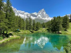 Naturlandskabet i nærheden af lejligheden