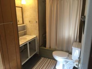 a bathroom with a toilet and a sink and a mirror at Rainbow's End Resort Camp in Chetek