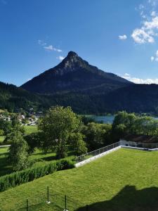 a view of a mountain with a field and a lake at Landidyll am Thiersee in Thiersee