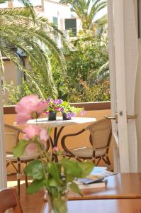 A garden outside Hotel Villa Rodriguez