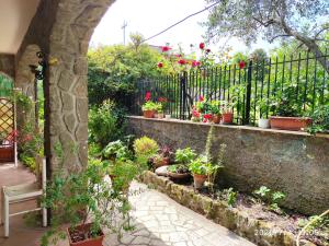 a garden with potted plants and a fence at Around Rome in Marino +3 photos