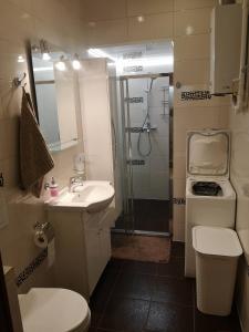 y baño con ducha, aseo y lavamanos. en Apartament Złoty w Centrum Miasta en Częstochowa
