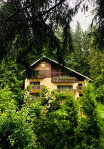 a building with balconies in the middle of a forest at Boutique Hotel Casa Emil in Poiana Brasov