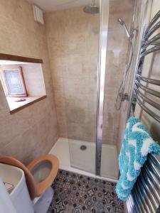 a bathroom with a shower and a toilet at THE OLD RECTORY GLEBE HOUSE in Jacobstow 10 mins to Widemouth bay and Crackington Haven,15 mins Bude,20 mins tintagel, 27 mins Port Issac in Bude