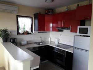 Kuchyň nebo kuchyňský kout v ubytování Apartments Gracia & Toni