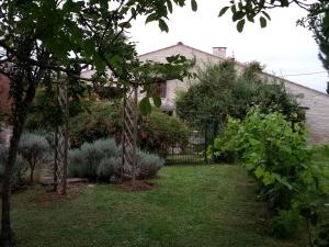 un jardin avec des arbres et des buissons en face d'une maison dans l'établissement Les gîtes du veau d'or, à Ozillac