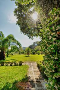 A garden outside Hotel Villa Rodriguez