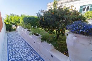 a garden with a row of potted plants and trees at Il Veliero B&B charming rooms in Anacapri