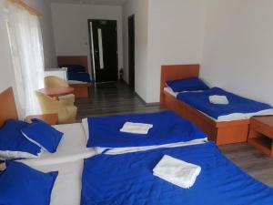 a bedroom with two beds with blue and white sheets at Penzión** Amálka in Hriňová