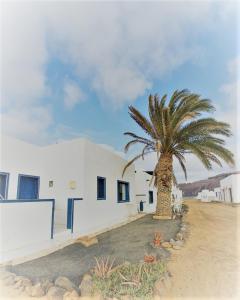 una palmera frente a un edificio blanco en Apartamentos herederos Lm, en Caleta de Sebo