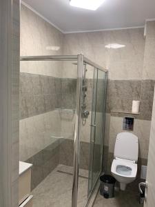 ein Bad mit einer Dusche und einem WC in der Unterkunft Apartament Mamaia Nord Coca in Mamaia Nord – Năvodari