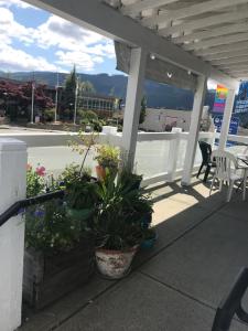 a patio with potted plants and a table and chairs at Char's Landing Hostel in Port Alberni