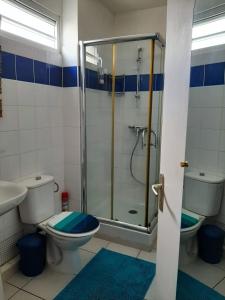a bathroom with a shower and a toilet and a sink at appartement Callebasse in Cayenne