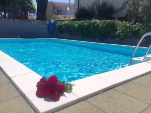 una piscina blu con bouquet di rose rosse di Apartment Mirella a Umag (Umago)