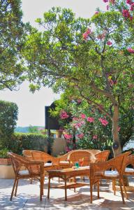 A garden outside Hotel Villa Rodriguez