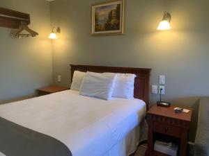 Postel nebo postele na pokoji v ubytování Hotel and Suites Les Laurentides