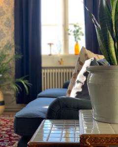 a living room with a couch and a potted plant at Gästisbacken in Alfta