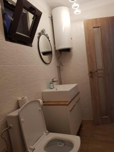 bagno con servizi igienici, lavandino e specchio di Casa Gabriela Corbu a Corbu