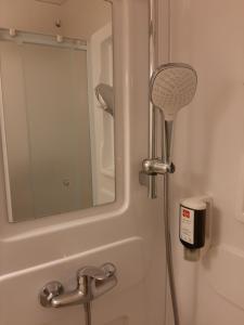 una ducha en un baño con espejo en Le Royalty, en Angers 38 fotos más