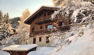 domek z bali zimą ze śniegiem na drzewach w obiekcie Fabulous chalet La Plagne - ski in-ski out - Sauna with Mont Blanc view w mieście La Plagne Tarentaise