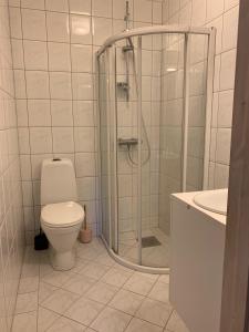 a bathroom with a shower and a toilet and a sink at Moldegaard Farmhouse - Apartment A in Moldegard