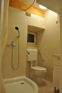 a small bathroom with a toilet and a shower at Apartments Lucic in Dubrovnik