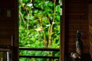Fotografie z fotogalerie ubytování Villa SACHIIBARU 浜辺の茶屋 の 宿 v destinaci Nanjo