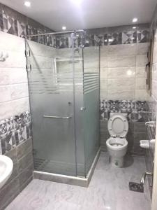 a bathroom with a shower with a toilet and a sink at Sea View Luxury Apartment - Stanley - Wi-Fi - Families Only in Alexandria