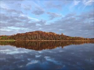 a small island in the middle of a lake at Emy Lake Studio in Monaghan